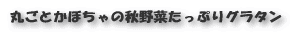 丸ごとかぼちゃの秋野菜たっぷりグラタ